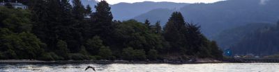 Anacortes aerial view